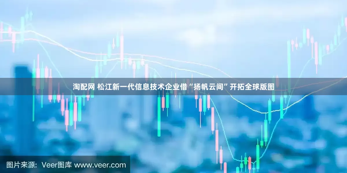 淘配网 松江新一代信息技术企业借“扬帆云间”开拓全球版图